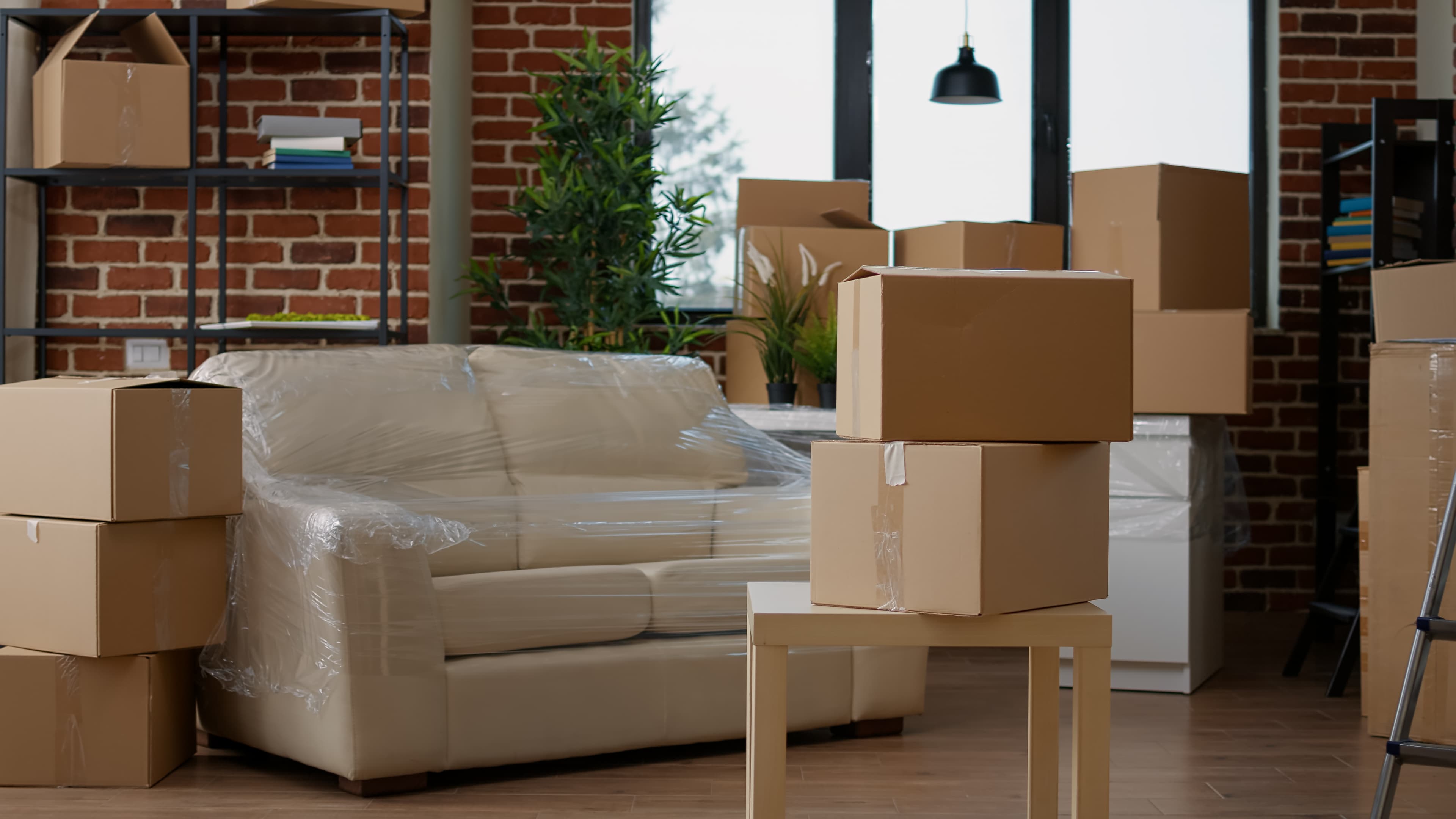 Home Removals